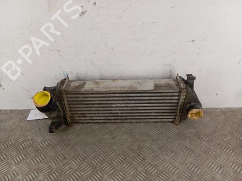 Used Intercooler MERCEDES-BENZ CITAN Box Body/MPV (W415) 109 CDI (415.601, 415.603, 415.605) (90 hp) 29545251