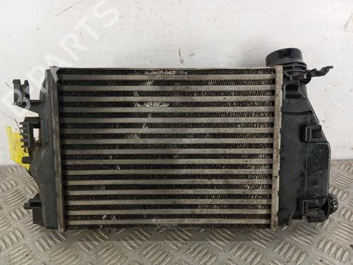Ladeluftkühler für RENAULT KADJAR (HA_, HL_) 1.5 dCi 110 (HLA3) (110 hp) 31717875
