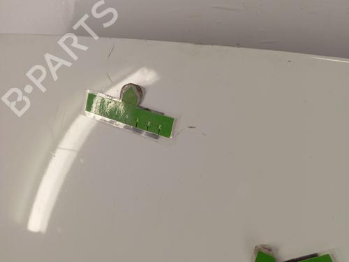 Hood RENAULT KANGOO / GRAND KANGOO II (KW0/1_) 1.5 dCi 90 (KW05, KW08, KW0G, KW11) | BP28343716C1 