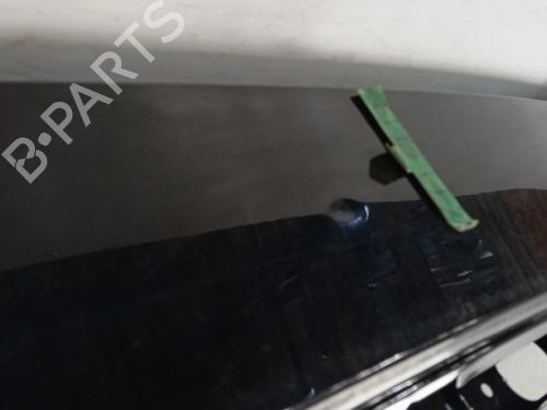 Tailgate RENAULT SCÉNIC III (JZ0/1_) 1.5 dCi (JZ02, JZ0R) | BP28345916C6 
