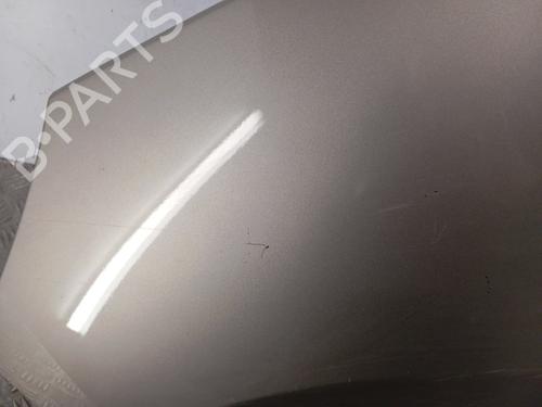 Left front fenders RENAULT SCÉNIC III (JZ0/1_) 1.6 dCi (JZ00, JZ12) | BP29560782C41 