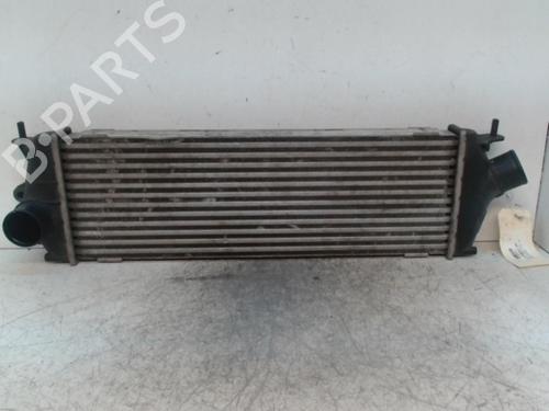 Intercooler RENAULT TRAFIC II Bus (JL) 2.0 dCi 90 | BP28349230M30 