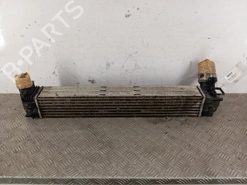 Intercooler RENAULT GRAND SCÉNIC III (JZ0/1_) 1.9 dCi (JZ0J, JZ0N, JZ1K, JZ1S) | BP29412438M30 