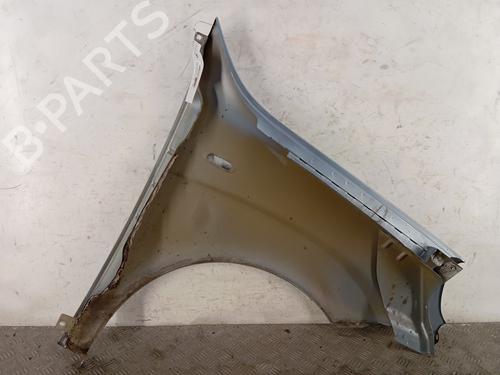 Left front fenders FIAT DOBLO Box Body/MPV (223_) 1.3 D Multijet | BP28345699C41 