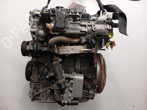 Motor RENAULT ESPACE IV (JK0/1_) 2.0 dCi (JK01, JK02, JK1J, JK1K, JK1H) (150 hp) 29038425