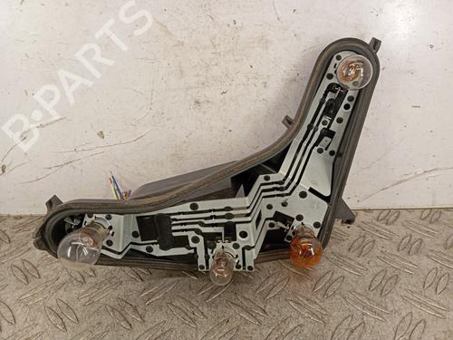 Lampenträger für PEUGEOT 207 (WA_, WC_) 1.4 HDi (68 hp) 32095095