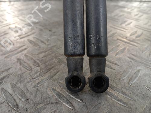 Tailgate lift support NISSAN QASHQAI I (J10, NJ10) 1.5 dCi | BP32198230C138