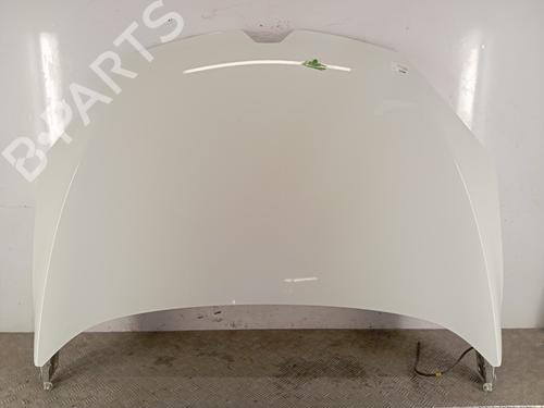 Used Hood RENAULT MEGANE III Hatchback (BZ0/1_, B3_) 1.2 TCe (BZ2B, BZ11) (116 hp) 31018241