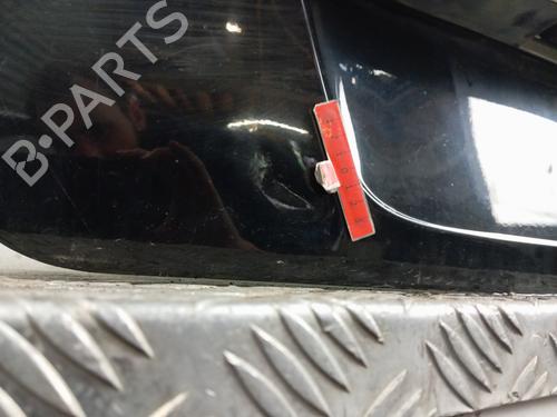 Tailgate RENAULT SCÉNIC III (JZ0/1_) 1.5 dCi (JZ02, JZ0R) | BP28345916C6 