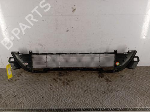 Grille PEUGEOT 207 (WA_, WC_) 1.4 HDi | BP29888857C40