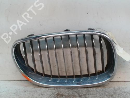 Used Grille BMW 5 Touring (E61) 525 d (197 hp) 28349322