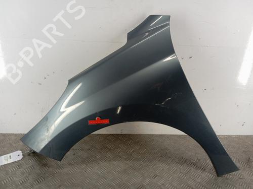 Used Left front fenders PEUGEOT 207 (WA_, WC_) 1.6 HDi (90 hp) 28814592