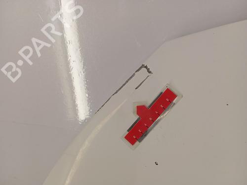 Hood FIAT SCUDO Van (270_, 272_) 1.6 D Multijet | BP28345535C1 