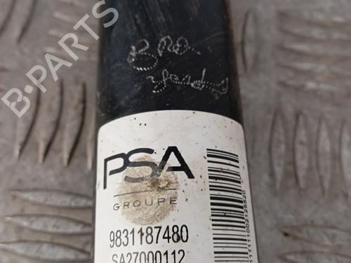 Højre bagtil støddæmper Højre bagtil støddæmper PEUGEOT 208 II (UB_, UP_, UW_, UJ_) 1.2 PureTech 100 (101 hp) 34140573 34140573