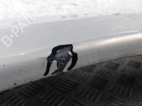 Used Right front fenders CITROËN C8 (EA_, EB_) 2.0 HDi 165 (163 hp) 28340623