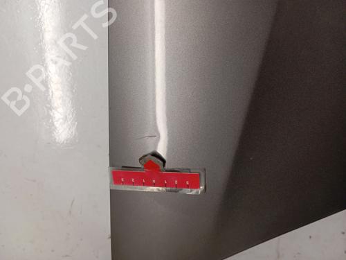 Hood RENAULT MODUS / GRAND MODUS (F/JP0_) 1.5 dCi (JP0G, JP0H) | BP29845072C1 