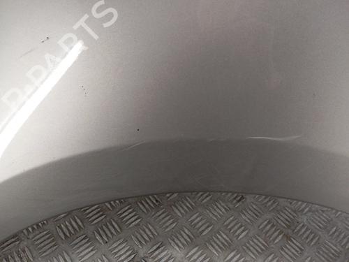Left front fenders RENAULT SCÉNIC III (JZ0/1_) 1.6 dCi (JZ00, JZ12) | BP29560782C41 