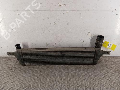 Intercooler RENAULT KOLEOS I (HY_) 2.0 dCi 4x4 (HY0K) | BP34709800M30 - Image 3