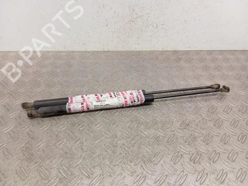 Used Tailgate lift support RENAULT SCÉNIC III (JZ0/1_) 1.5 dCi (110 hp) 28341757