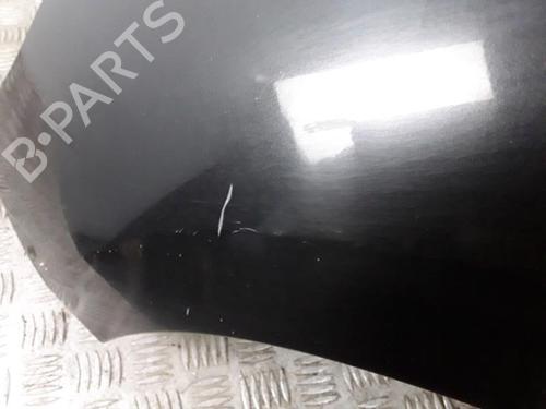 Left front fenders RENAULT SCÉNIC III (JZ0/1_) 1.5 dCi | BP28341758C41 