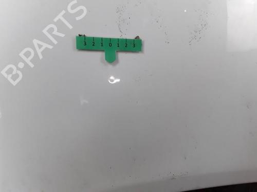 Used Hood RENAULT KOLEOS I (HY_) 2.0 dCi 4x4 (HY0K) (150 hp) 28347558