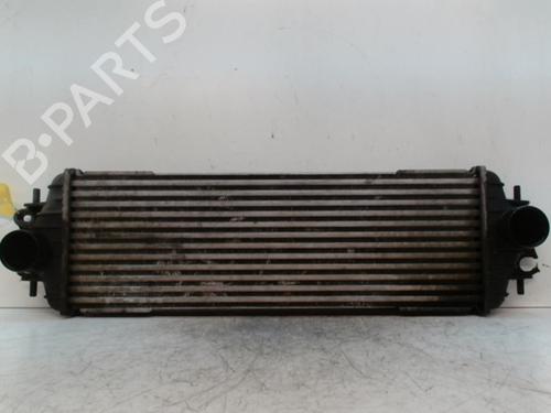 Used Intercooler RENAULT TRAFIC II Van (FL) 1.9 dCi 80 (FL0B) (82 hp) 28344993