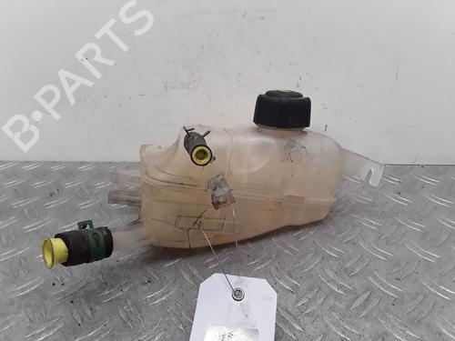Used Expansion tank RENAULT GRAND SCÉNIC III (JZ0/1_) 1.9 dCi (JZ0J, JZ0N, JZ1K, JZ1S) (131 hp) 28337762