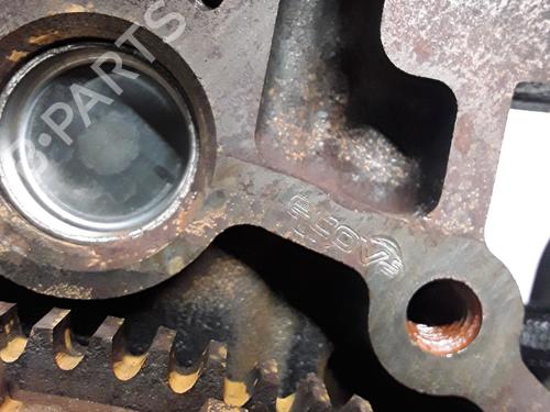 Engine RENAULT CLIO III (BR0/1, CR0/1) 1.2 16V (BR0P, CR0P) | BP28346399M1 
