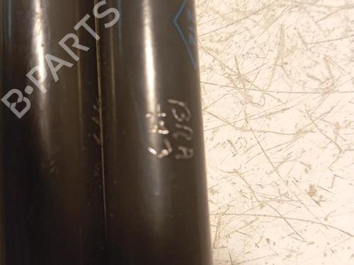 tailgate-lift-support-renault-clio-v-b7_-2019-28344248 main image