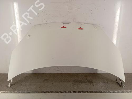 Used Hood RENAULT KANGOO / GRAND KANGOO II (KW0/1_) 1.5 dCi 90 (KW05, KW08, KW0G, KW11) (90 hp) 31018251