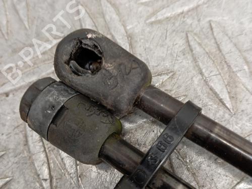 Tailgate lift support FORD FOCUS II (DA_, HCP, DP) 1.8 TDCi | BP28347887C138 