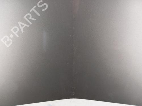 Hood RENAULT MODUS / GRAND MODUS (F/JP0_) 1.5 dCi (JP0G, JP0H) | BP29845072C1 