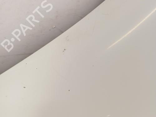 Left front fenders RENAULT KANGOO / GRAND KANGOO II (KW0/1_) 1.5 dCi 90 (KW05, KW08, KW0G, KW11) | BP29923310C41 