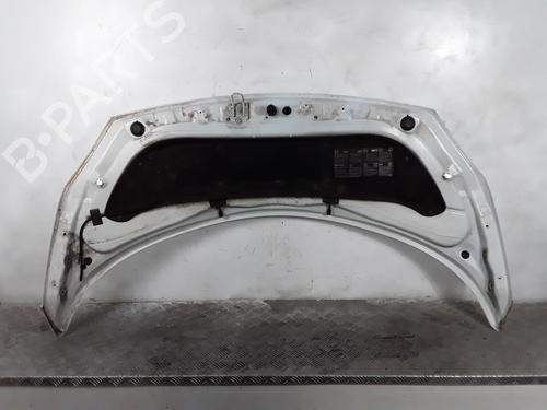 Hood RENAULT SCÉNIC II (JM0/1_) 2.0 (JM05, JM0U, JM1N, JM1U, JM2V) | BP28337791C1 