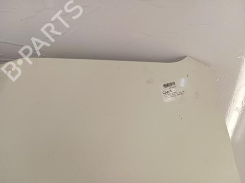 Hood FIAT DOBLO Cargo (263_) 1.3 D Multijet | BP28339991C1 