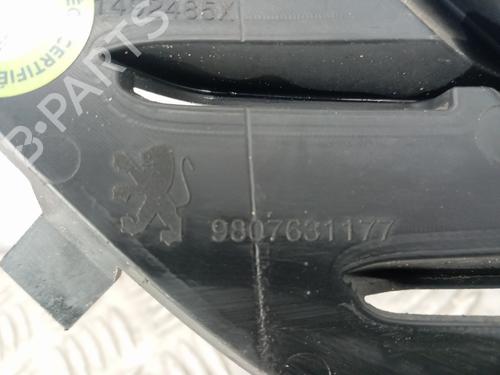 Grille PEUGEOT 508 I (8D_) 2.0 BlueHDi 180 | BP32302435C40