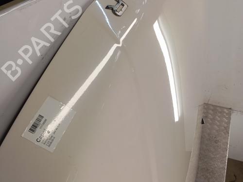 Hood LAND ROVER RANGE ROVER SPORT I (L320) 3.0 D 4x4 | BP28819523C1 