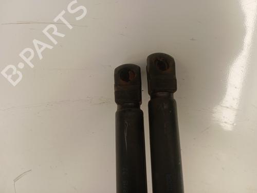 Tailgate lift support NISSAN QASHQAI II (J11, J11_) 1.6 dCi | BP29598184C138 