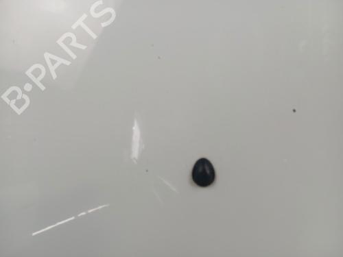 Hood RENAULT CLIO III (BR0/1, CR0/1) 1.5 dCi (C/BR0G, C/BR1G) | BP28338457C1 