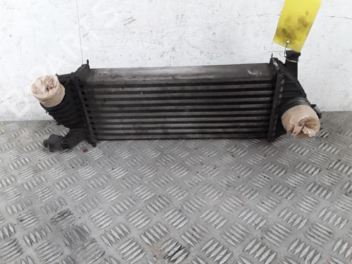 Intercooler RENAULT KANGOO / GRAND KANGOO II (KW0/1_) 1.5 dCi 90 (KW05, KW08, KW0G, KW11) (90 hp) 28343605