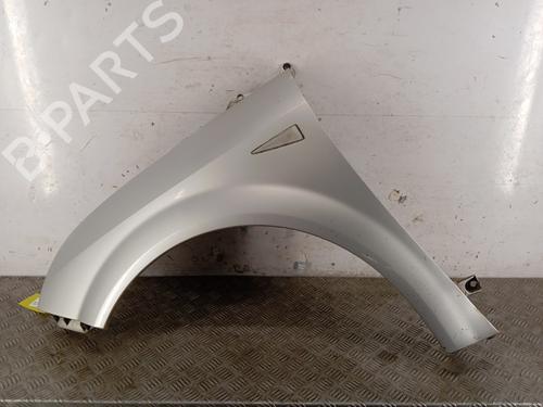 Used Left front fenders RENAULT SCÉNIC II (JM0/1_) 1.5 dCi (JM1E, JM16) (106 hp) 31907777