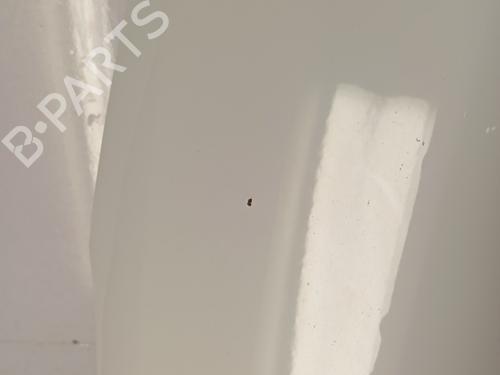 Motorhaube RENAULT MEGANE IV Hatchback (B9A/M/N_) 1.5 dCi 110 (B9A3) | BP30850863C1