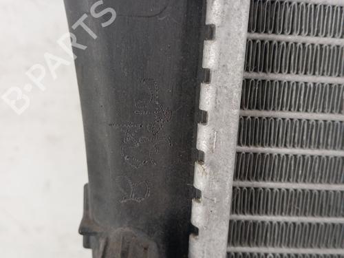 Water radiator FIAT 500L (351_, 352_) 0.9 (199LYC1B) | BP28341241M31 