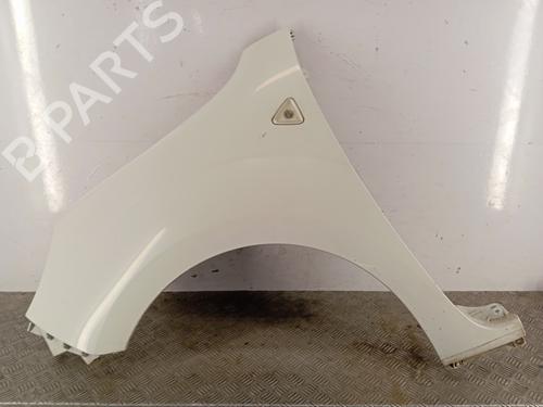 Left front fenders RENAULT KANGOO / GRAND KANGOO II (KW0/1_) 1.5 dCi 90 (KW05, KW08, KW0G, KW11) | BP29923310C41 