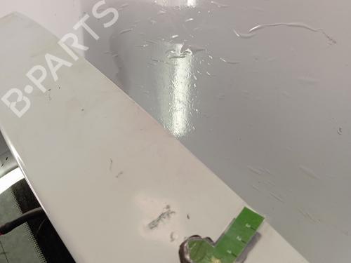 Tailgate CITROËN C3 I (FC_, FN_) 1.4 HDi | BP28424820C6