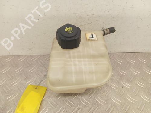 Expansion tank NISSAN QASHQAI / QASHQAI +2 I (J10, NJ10, JJ10E) 1.5 dCi | BP28339513C120 