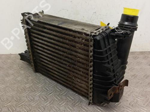 Intercooler RENAULT CLIO IV (BH_) 1.5 dCi 90 | BP28340357M30 