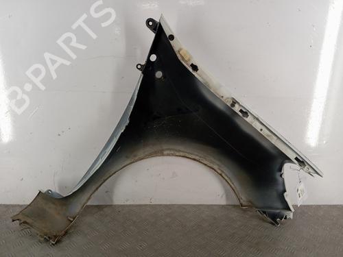 Left front fenders RENAULT CLIO III (BR0/1, CR0/1) 1.5 dCi (BR17, CR17) | BP28576681C41