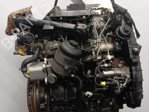 Engine OPEL MERIVA A MPV (X03) 1.7 CDTI (E75) | BP29508753M1 