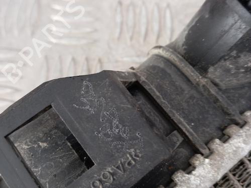 Køler FORD C-MAX II (DXA/CB7, DXA/CEU) 1.6 TDCi | BP28338681M31 